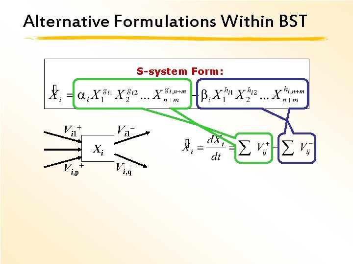 Alternative Formulations Within BST S-system Form: Vi 1+ Vi 1– Xi Vi, p+ Vi,