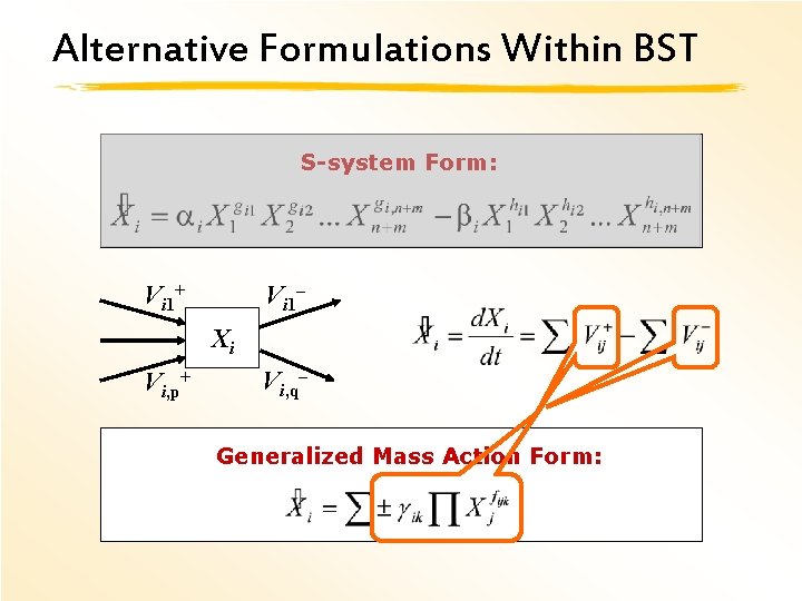 Alternative Formulations Within BST S-system Form: Vi 1+ Vi 1– Xi Vi, p+ Vi,
