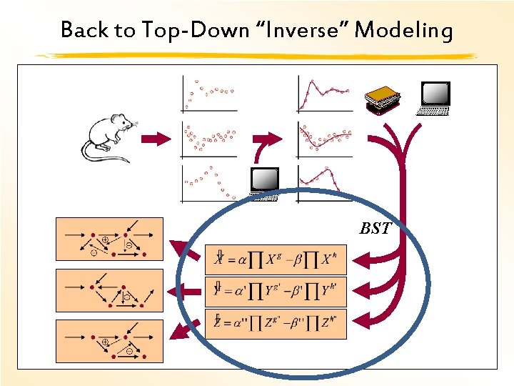 Back to Top-Down “Inverse” Modeling BST 36 