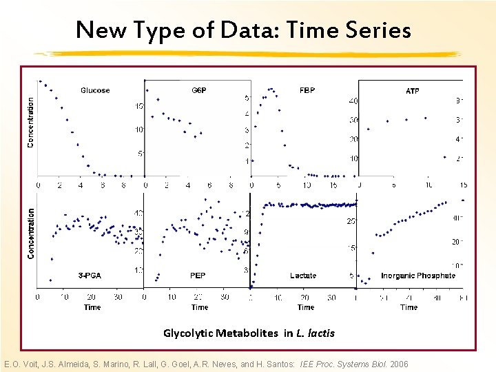 New Type of Data: Time Series Glycolytic Metabolites in L. lactis E. O. Voit,