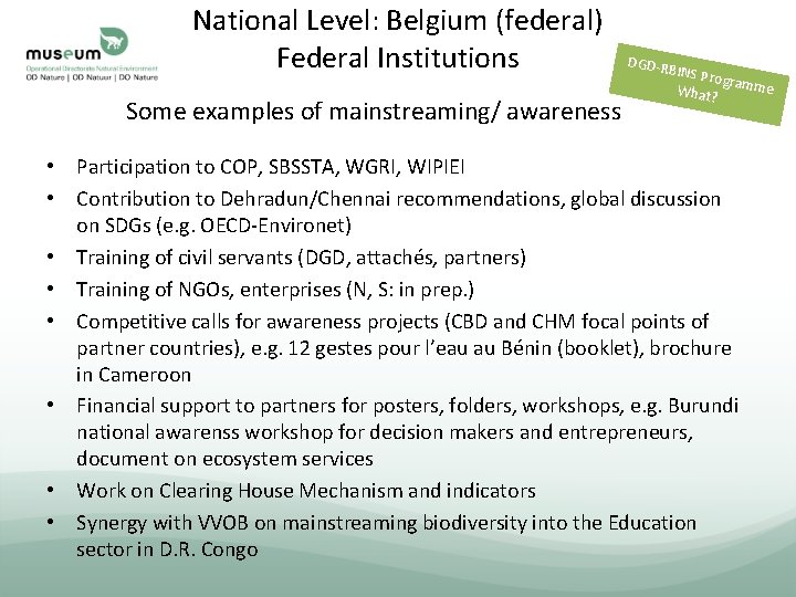 National Level: Belgium (federal) Federal Institutions Some examples of mainstreaming/ awareness DGD-R BINS P