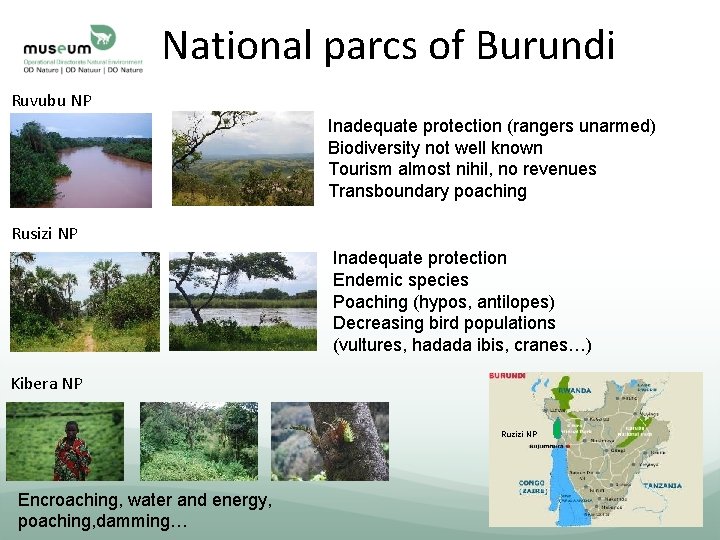 National parcs of Burundi Ruvubu NP Inadequate protection (rangers unarmed) Biodiversity not well known