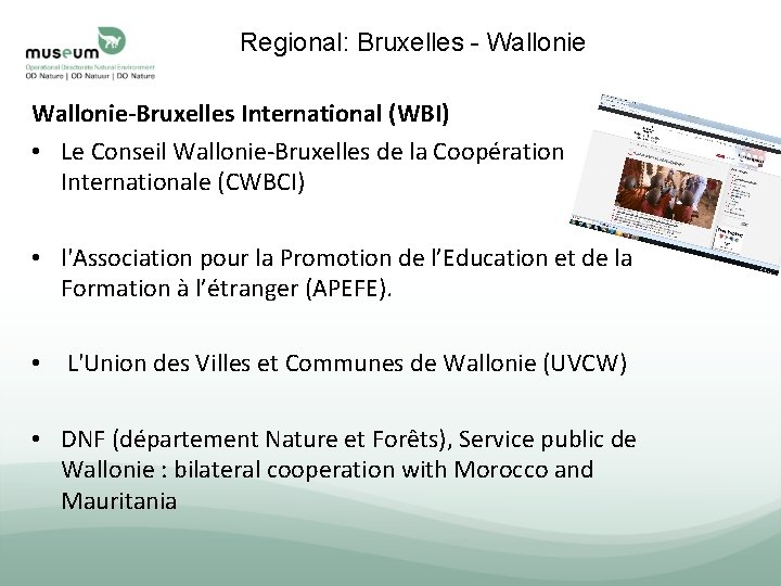 Regional: Bruxelles - Wallonie-Bruxelles International (WBI) • Le Conseil Wallonie-Bruxelles de la Coopération Internationale