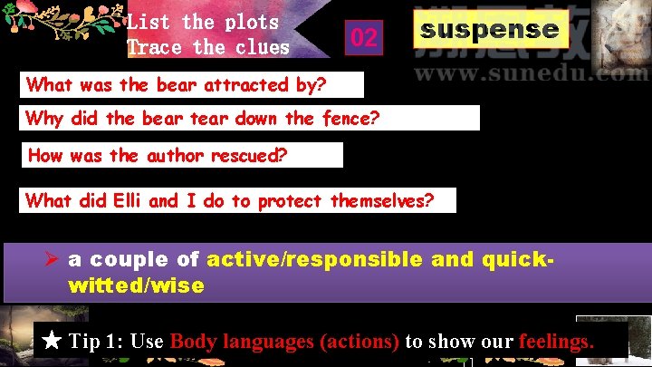 List the plots Trace the clues 02 suspense What was the bear attracted by?