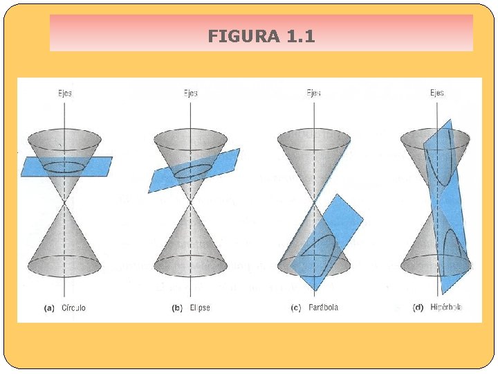 FIGURA 1. 1 