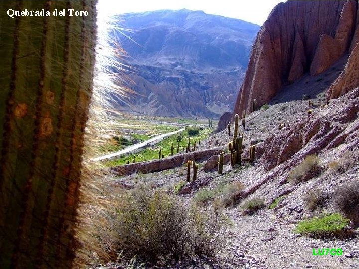 Quebrada del Toro LU 7 CD 