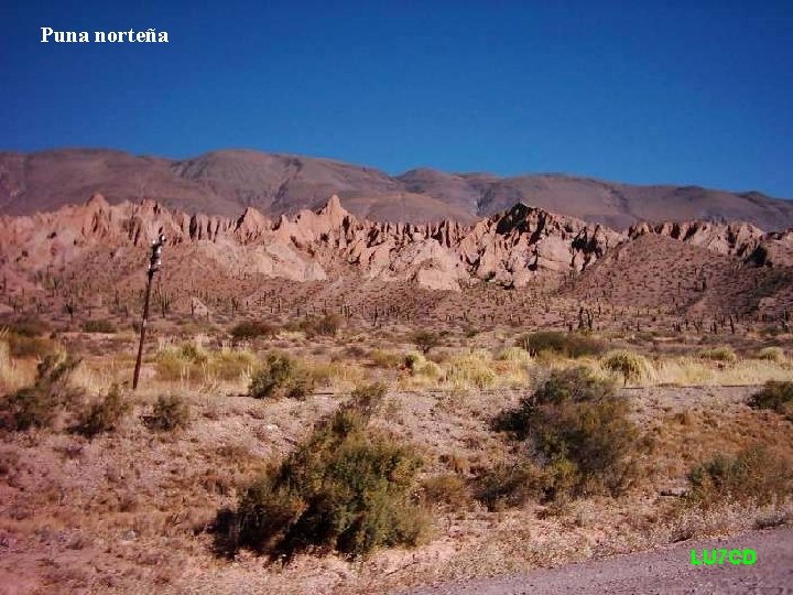 Puna norteña LU 7 CD 
