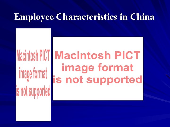 Employee Characteristics in China 