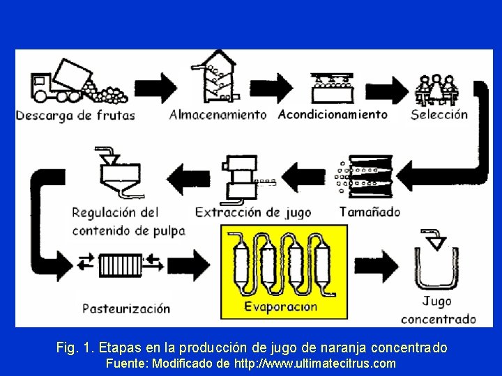 Fig. 1. Etapas en la producción de jugo de naranja concentrado Fuente: Modificado de