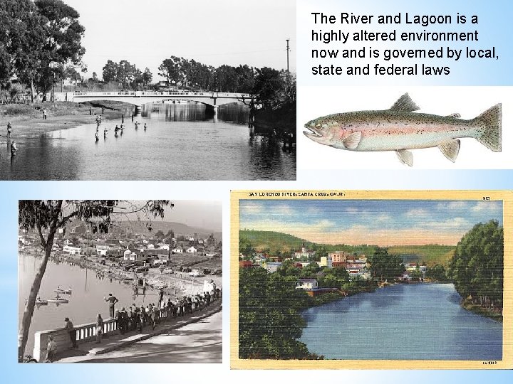 The River and Lagoon is a highly altered environment now and is governed by