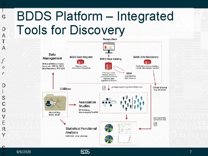 B I G D A T A BDDS Platform – Integrated Tools for Discovery