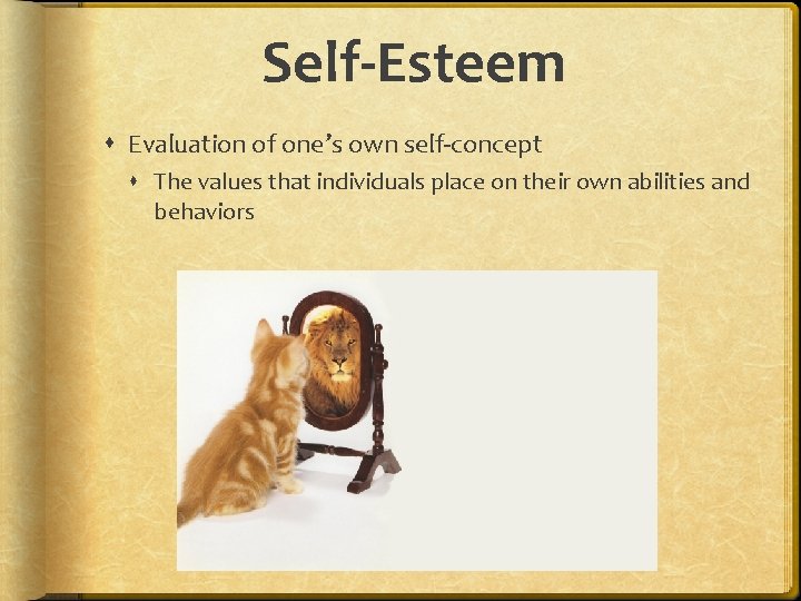 Self-Esteem Evaluation of one’s own self-concept The values that individuals place on their own