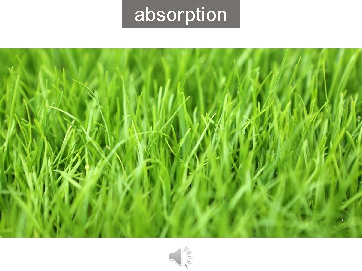 absorption 