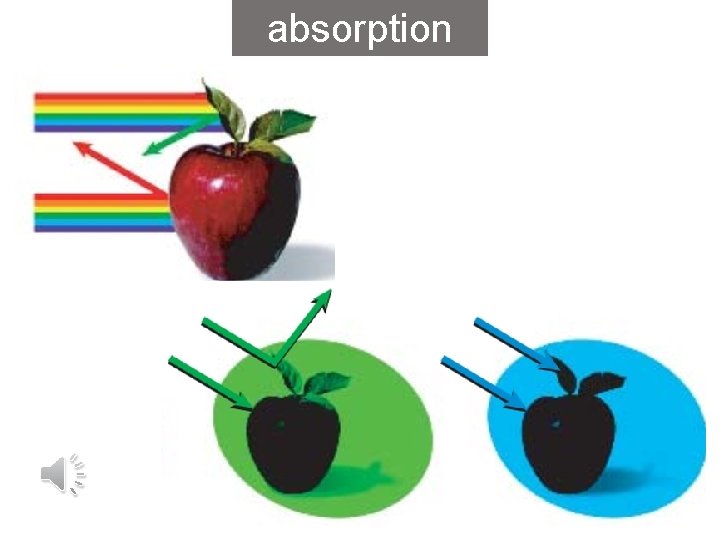 absorption 