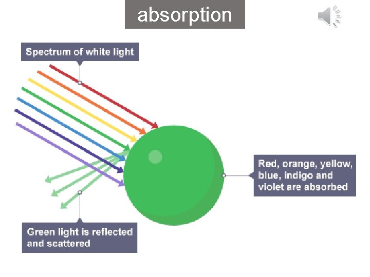absorption 