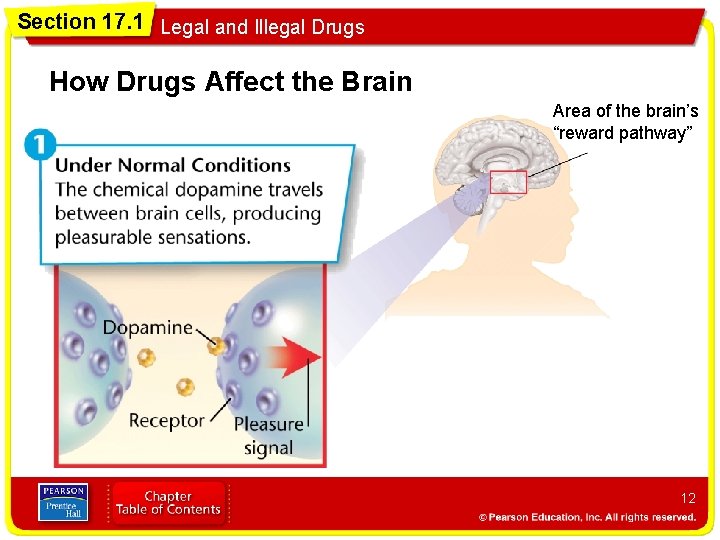 Section 17. 1 Legal and Illegal Drugs How Drugs Affect the Brain Area of