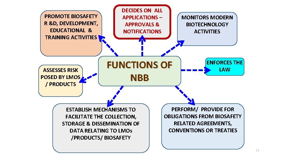 PROMOTE BIOSAFETY R &D, DEVELOPMENT, EDUCATIONAL & TRAINING ACTIVITIES ASSESSES RISK POSED BY LMOS