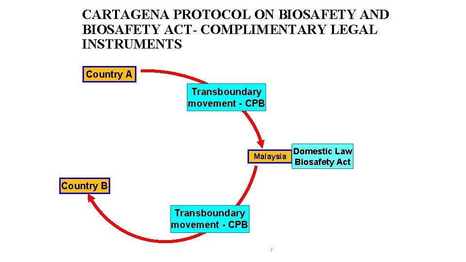 CARTAGENA PROTOCOL ON BIOSAFETY AND BIOSAFETY ACT- COMPLIMENTARY LEGAL INSTRUMENTS Country A Transboundary movement