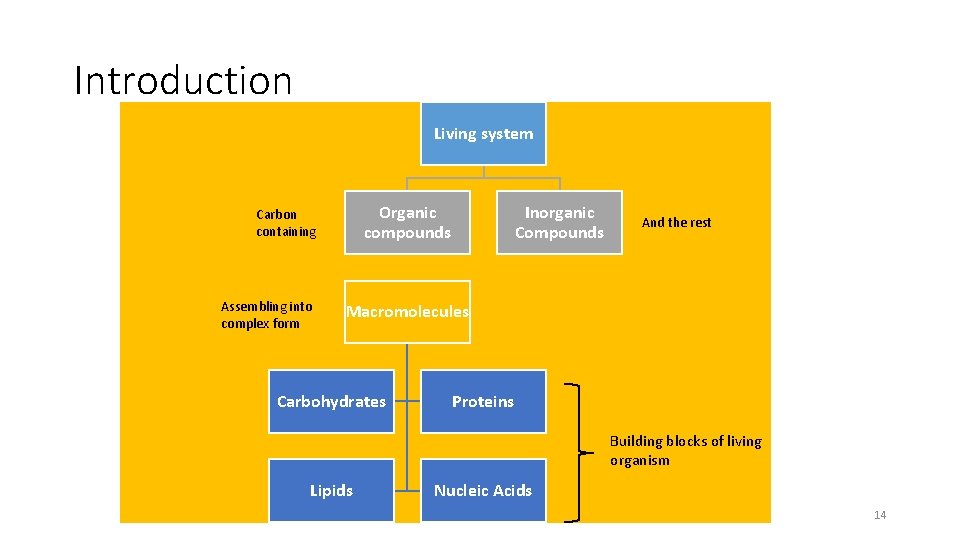 Introduction Living system Organic compounds Carbon containing Assembling into complex form Inorganic Compounds And