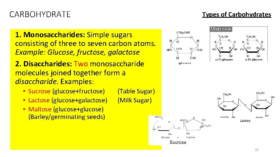 CARBOHYDRATE Types of Carbohydrates 1. Monosaccharides: Simple sugars consisting of three to seven carbon