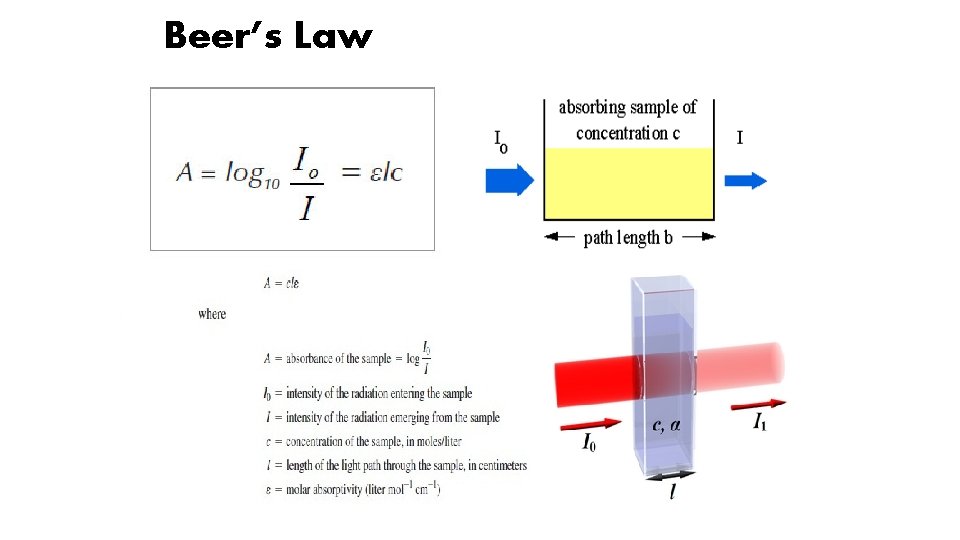 Beer’s Law 