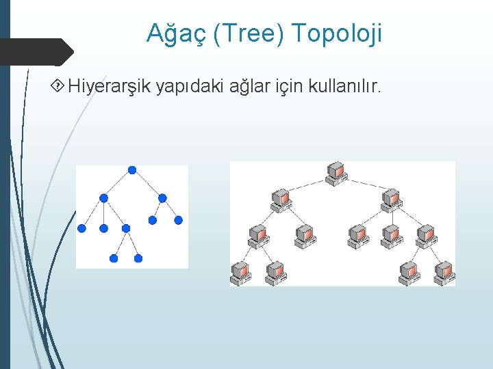 Ağaç (Tree) Topoloji Hiyerarşik yapıdaki ağlar için kullanılır. 