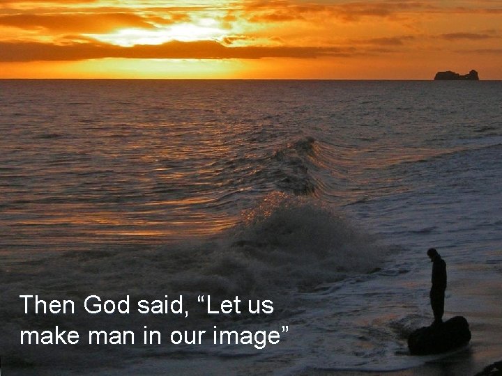 Then God said, “Let us make man in our image” 