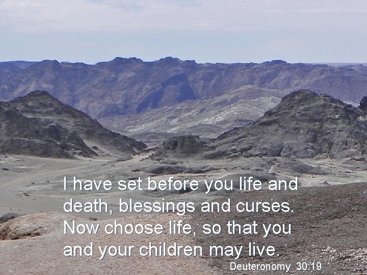 I have set before you life and death, blessings and curses. Now choose life,