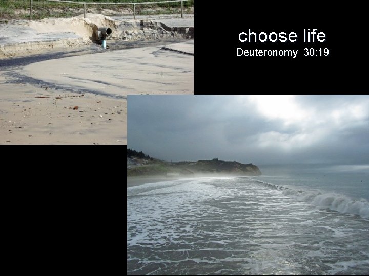 choose life Deuteronomy 30: 19 