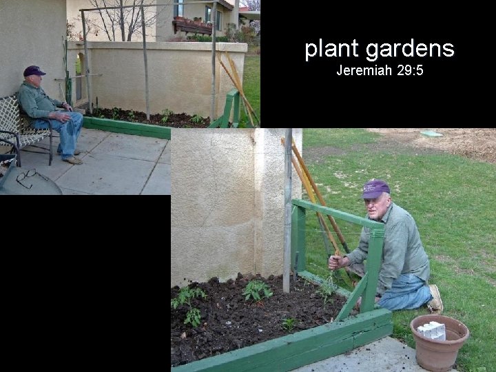 plant gardens Jeremiah 29: 5 