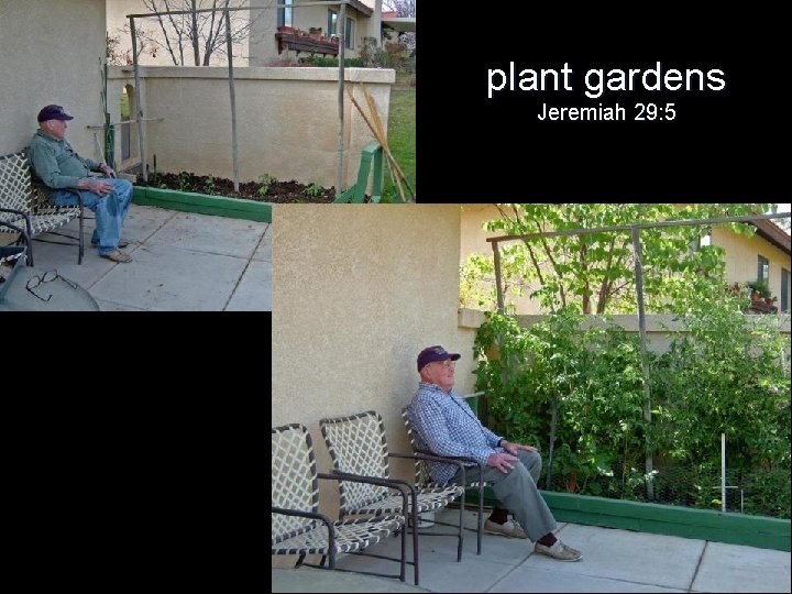 plant gardens Jeremiah 29: 5 