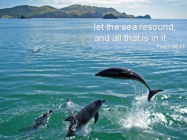 let the sea resound, and all that is in it Psalm 96: 11 Psalm