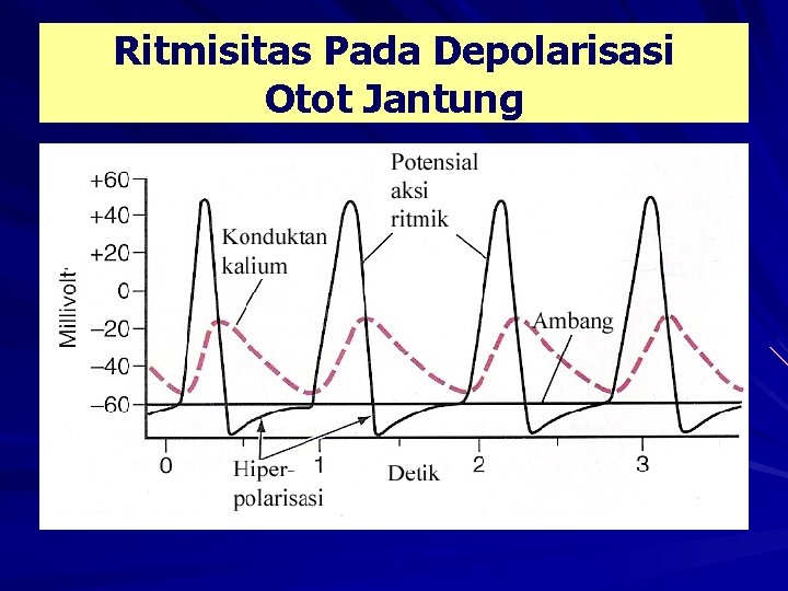 Ritmisitas Pada Depolarisasi Otot Jantung 