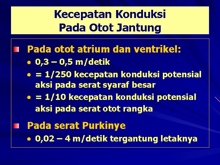 Kecepatan Konduksi Pada Otot Jantung Pada otot atrium dan ventrikel: 0, 3 – 0,