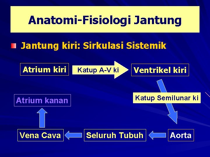 Anatomi-Fisiologi Jantung kiri: Sirkulasi Sistemik Atrium kiri Atrium kanan Vena Cava Katup A-V ki