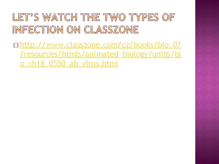 � http: //www. classzone. com/cz/books/bio_07 /resources/htmls/animated_biology/unit 6/bi o_ch 18_0550_ab_virus. html 