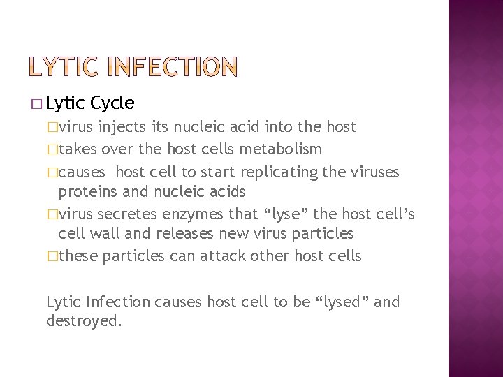 � Lytic Cycle �virus injects its nucleic acid into the host �takes over the