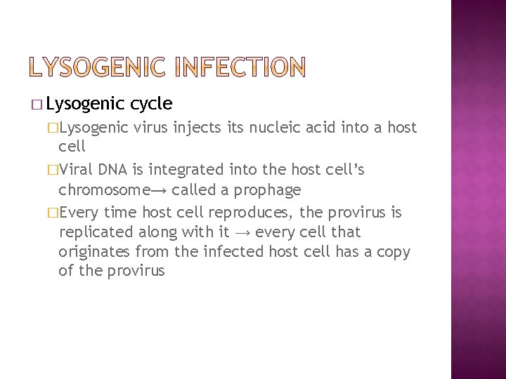 � Lysogenic �Lysogenic cycle virus injects its nucleic acid into a host cell �Viral