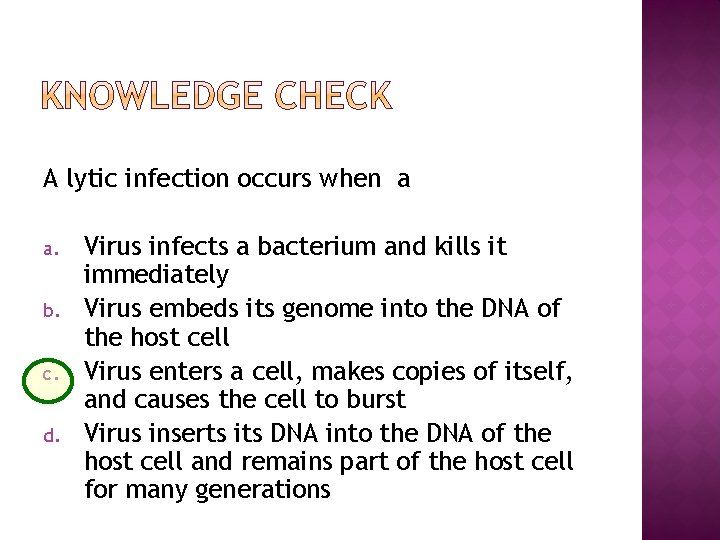 A lytic infection occurs when a a. b. c. d. Virus infects a bacterium