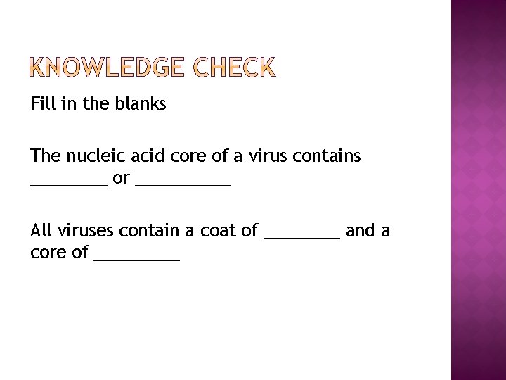 Fill in the blanks The nucleic acid core of a virus contains ____ or