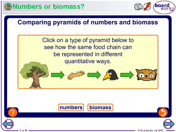 Numbers or biomass? 8 of 48 © Boardworks Ltd 2007 
