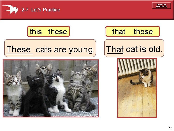 2 -7 Let’s Practice this these that those These cats are young. _____ cat