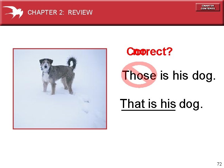 CHAPTER 2: REVIEW no Correct? Those is his dog. That is his dog. 72