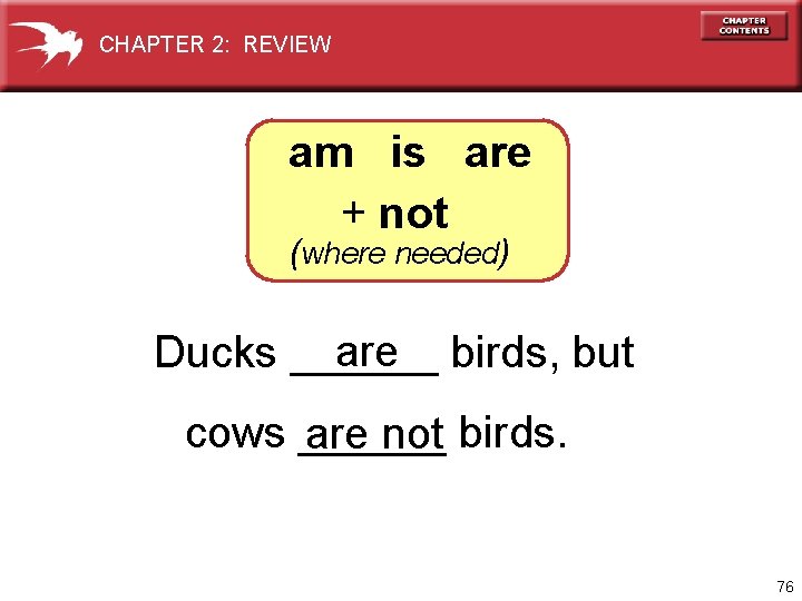 CHAPTER 2: REVIEW am is are + not (where needed) are Ducks ______ birds,