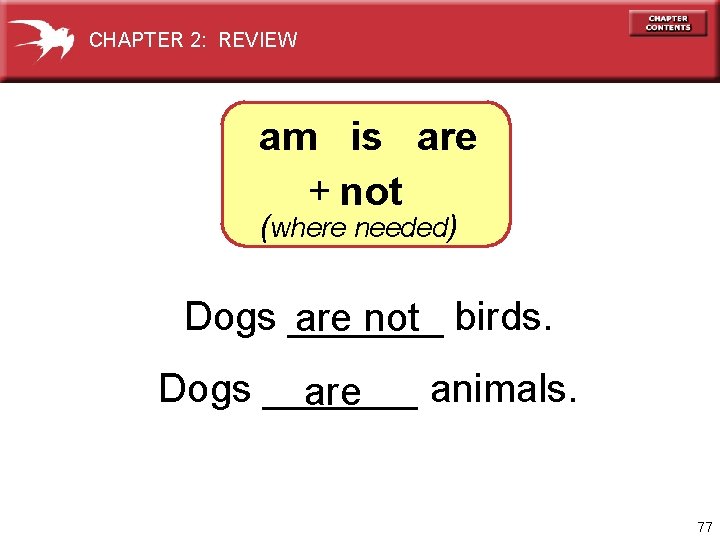 CHAPTER 2: REVIEW am is are + not (where needed) Dogs _______ birds. are