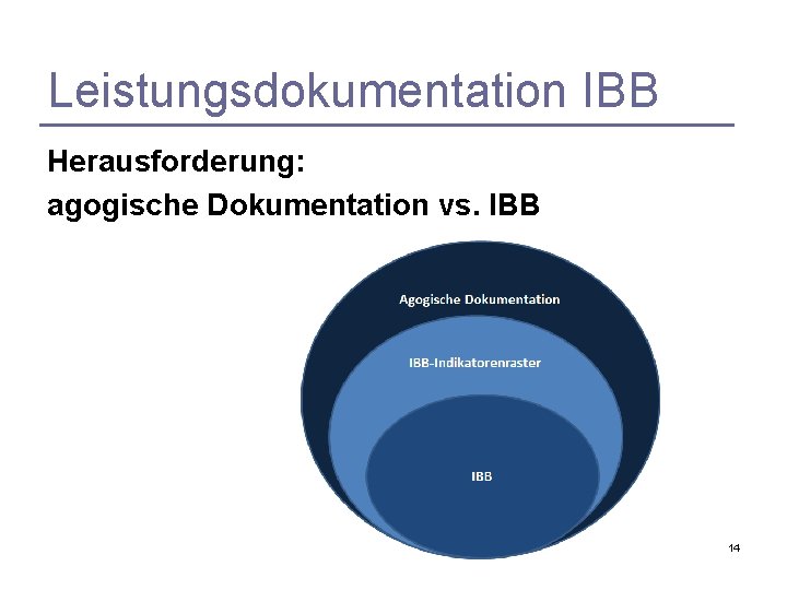 Leistungsdokumentation IBB Herausforderung: agogische Dokumentation vs. IBB 14 