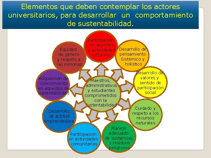 Elementos que deben contemplar los actores universitarios, para desarrollar un comportamiento de sustentabilidad. Equidad