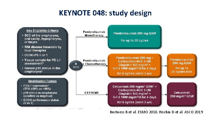 KEYNOTE 048: study design Burtness B et al. ESMO 2018. Rischin D et al.