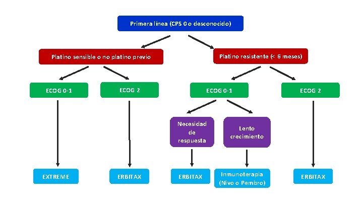 Primera línea (CPS 0 o desconocido) Platino resistente (< 6 meses) Platino sensible o