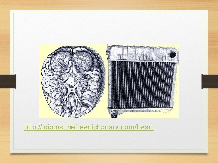 http: //idioms. thefreedictionary. com/heart 